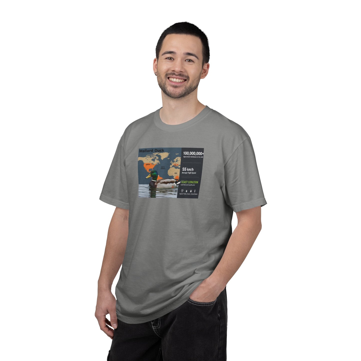 Chaos Coordinator: 'Ducks Not In A Row' Mallard T-Shirt