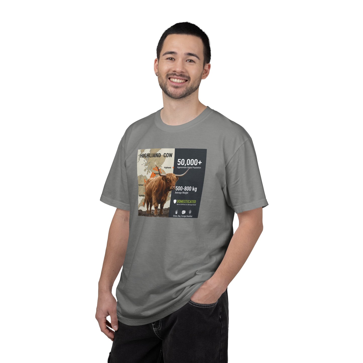 The Moody Coo: Highland Cow Textured T-Shirt (Farmhouse Chic)