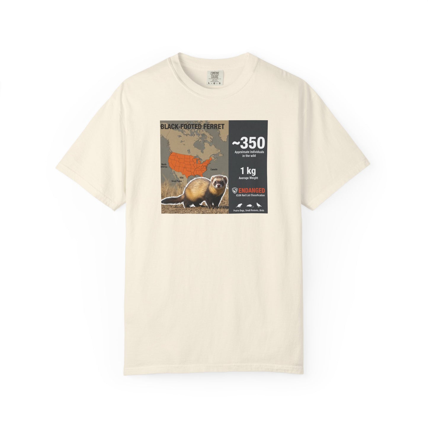 Masked Mystery: Rare Black-Footed Ferret T-Shirt