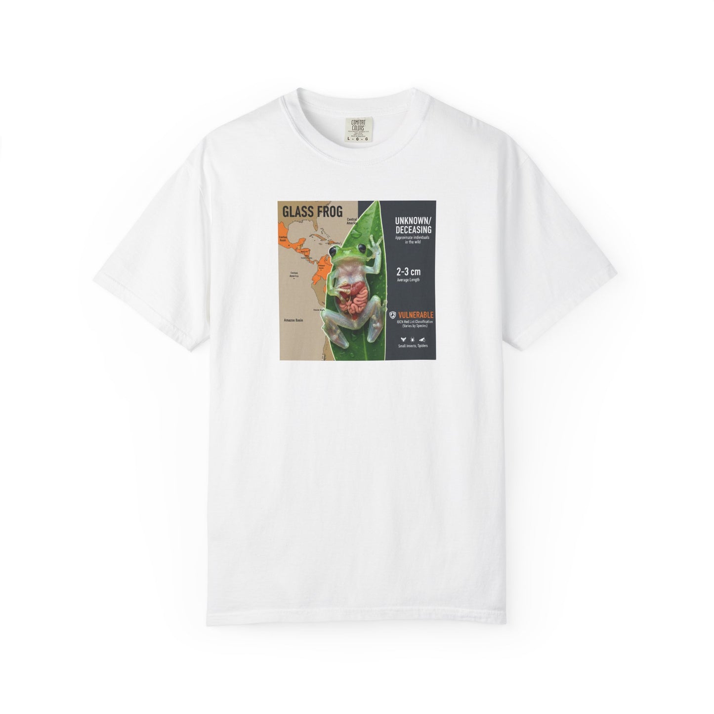 X-Ray Vision: Translucent Glass Frog Anatomy T-Shirt