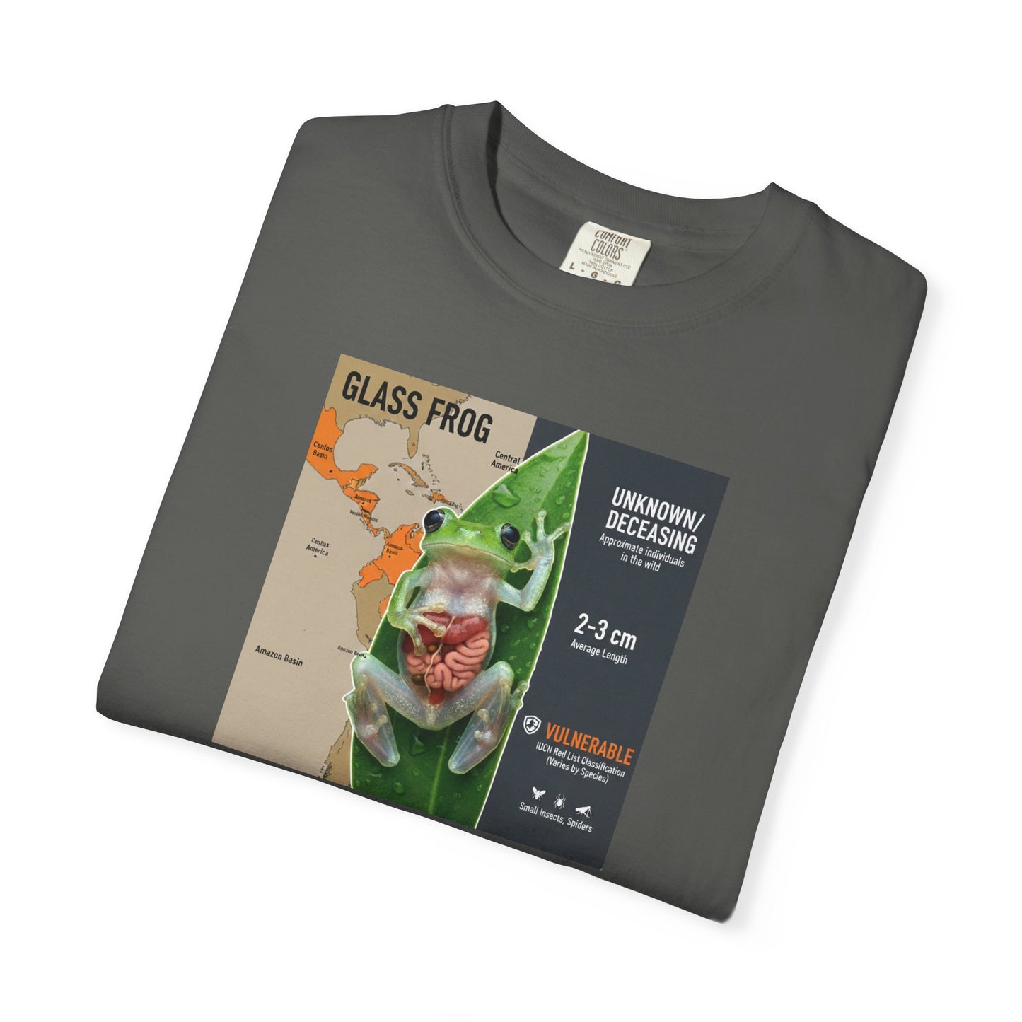 X-Ray Vision: Translucent Glass Frog Anatomy T-Shirt
