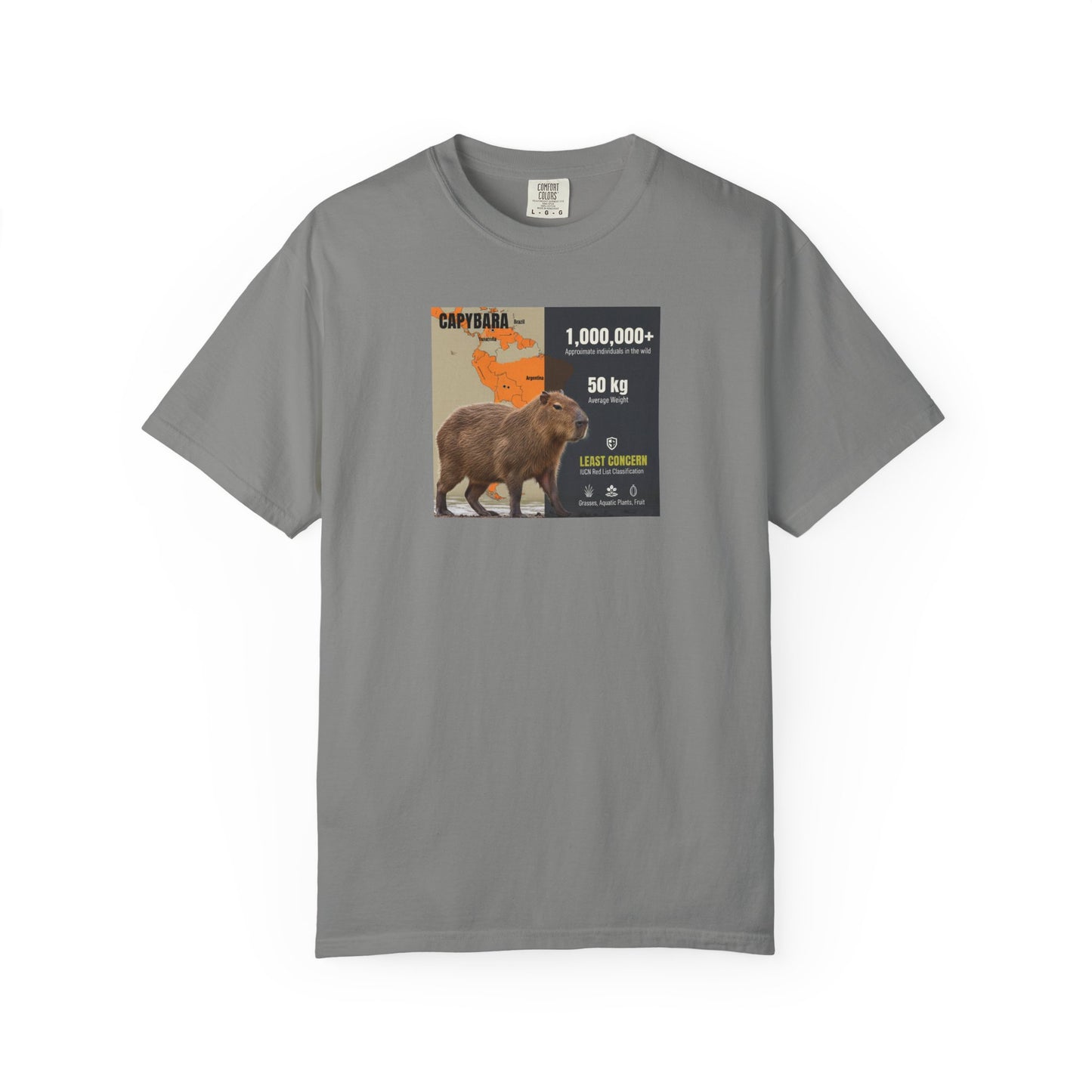 Zen Master: Capybara Chill Spa Day T-Shirt