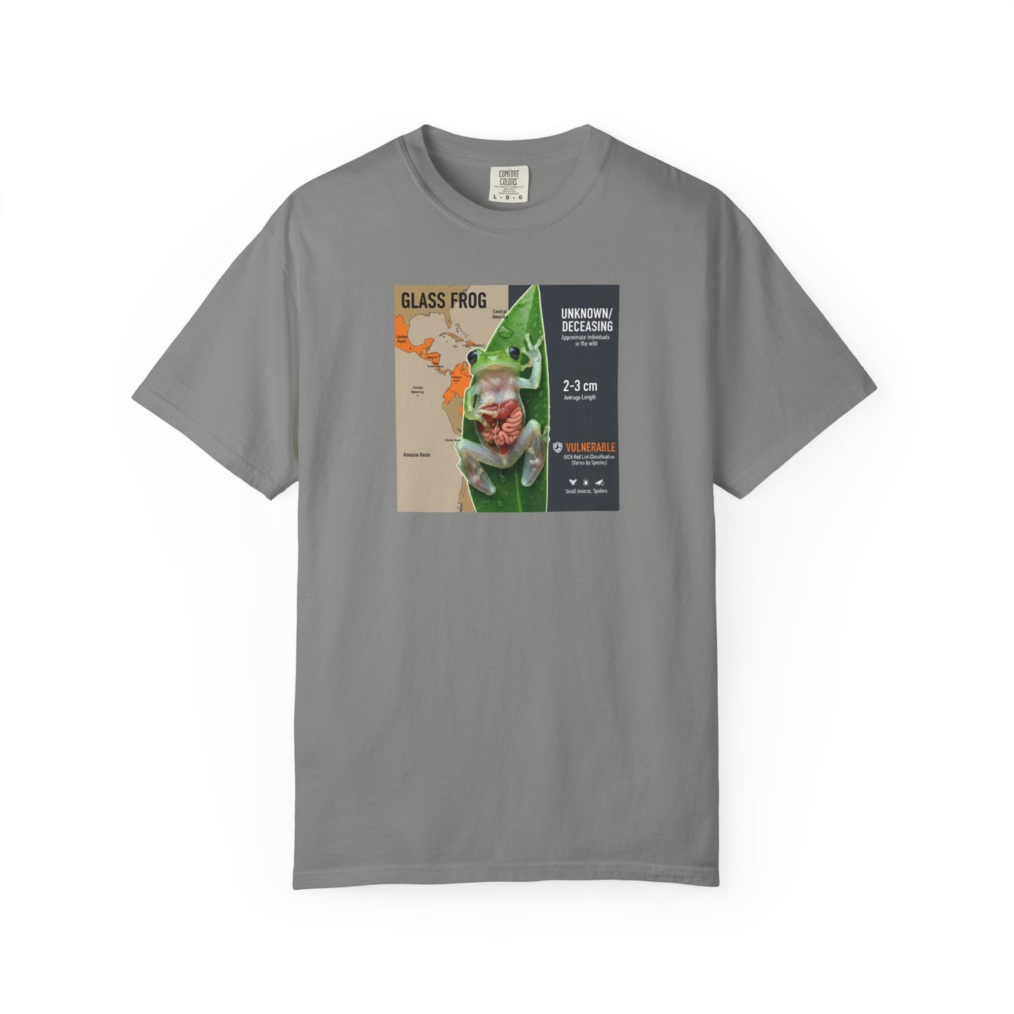 X-Ray Vision: Translucent Glass Frog Anatomy T-Shirt
