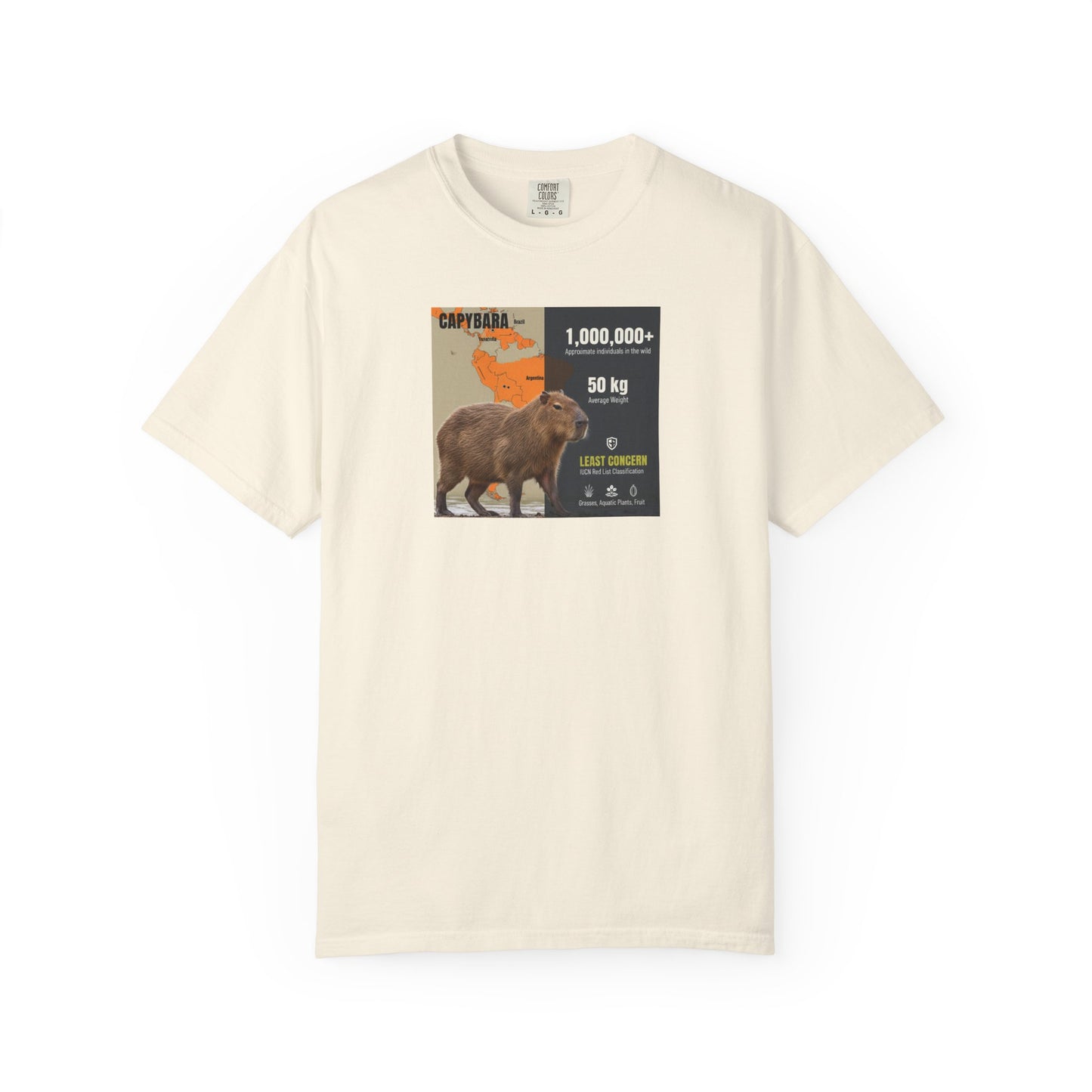 Zen Master: Capybara Chill Spa Day T-Shirt