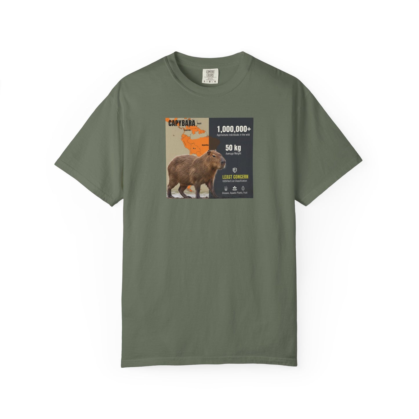 Zen Master: Capybara Chill Spa Day T-Shirt