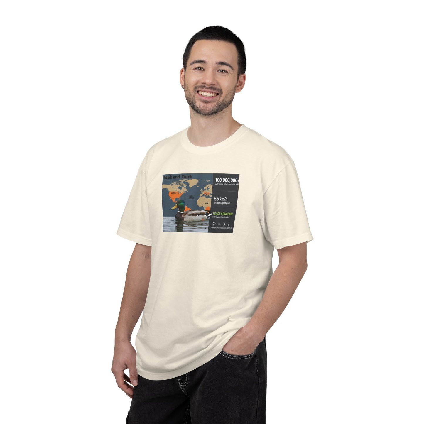 Chaos Coordinator: 'Ducks Not In A Row' Mallard T-Shirt