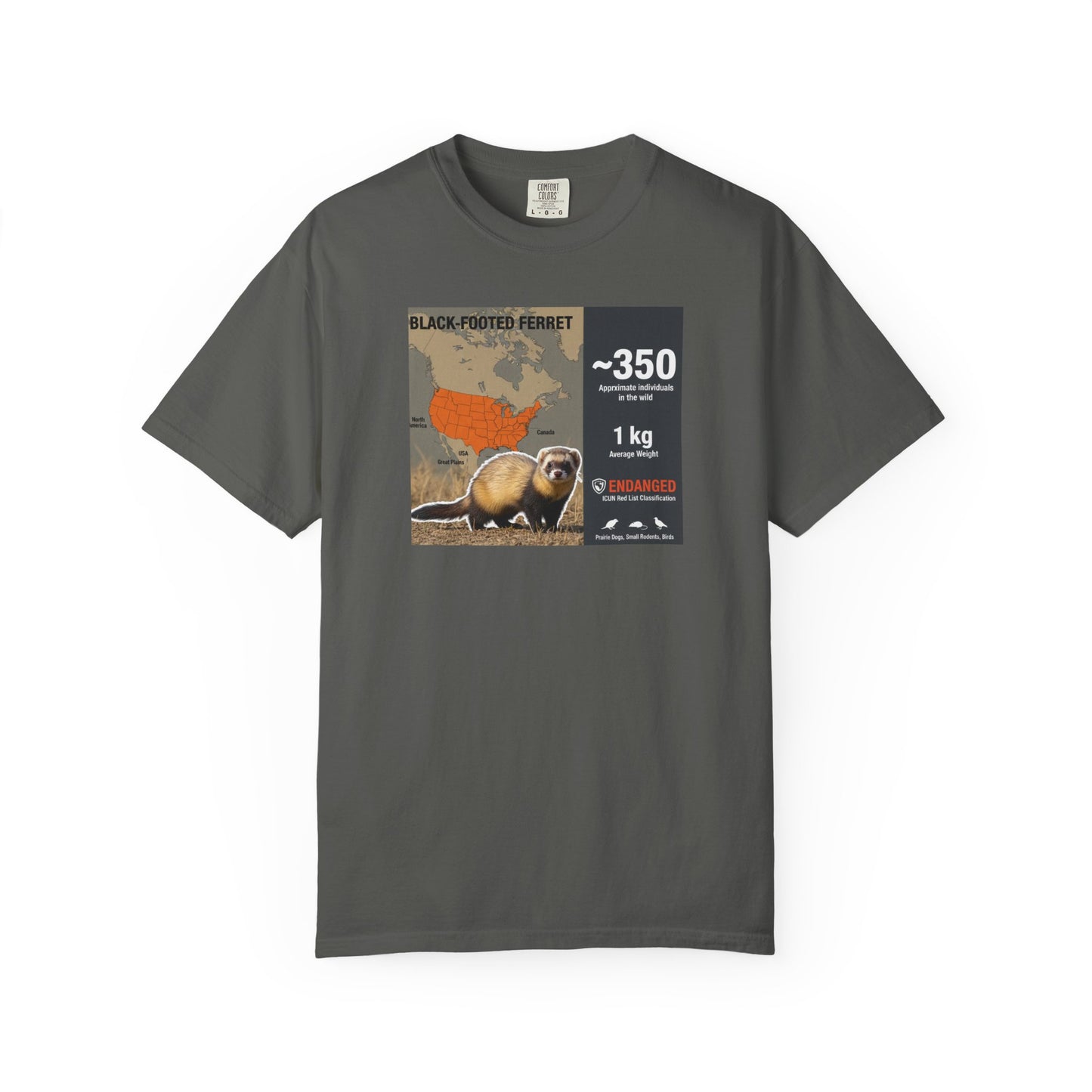 Masked Mystery: Rare Black-Footed Ferret T-Shirt