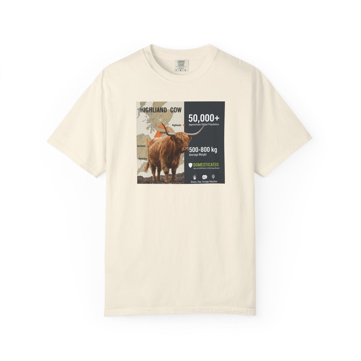 The Moody Coo: Highland Cow Textured T-Shirt (Farmhouse Chic)