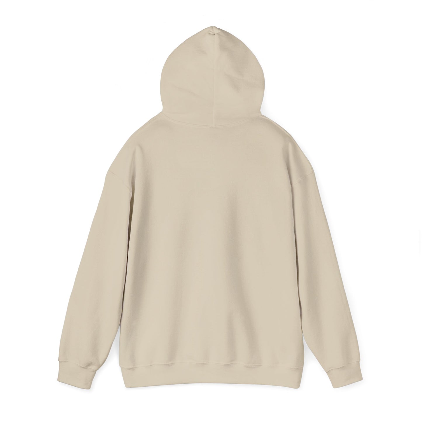 Minimalist Orbit Hoodie — Biblically Accurate Angel Hoodie