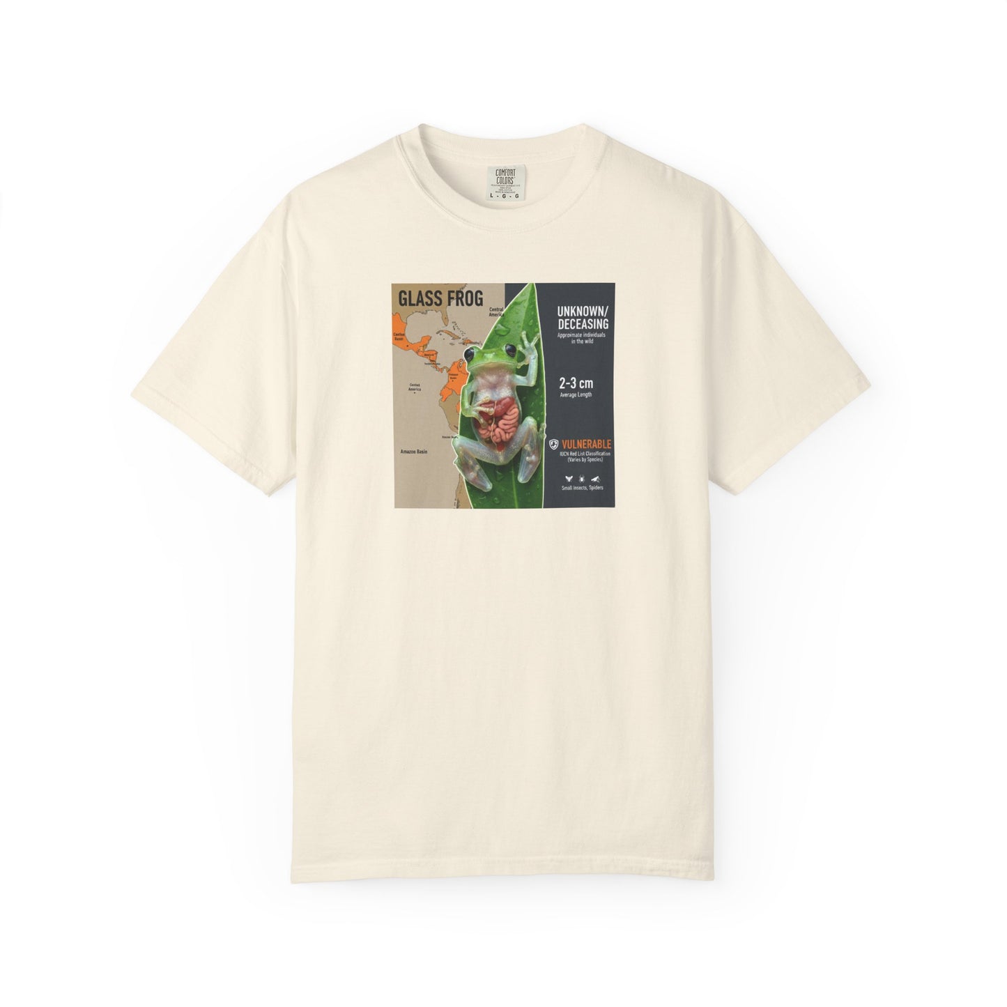 X-Ray Vision: Translucent Glass Frog Anatomy T-Shirt