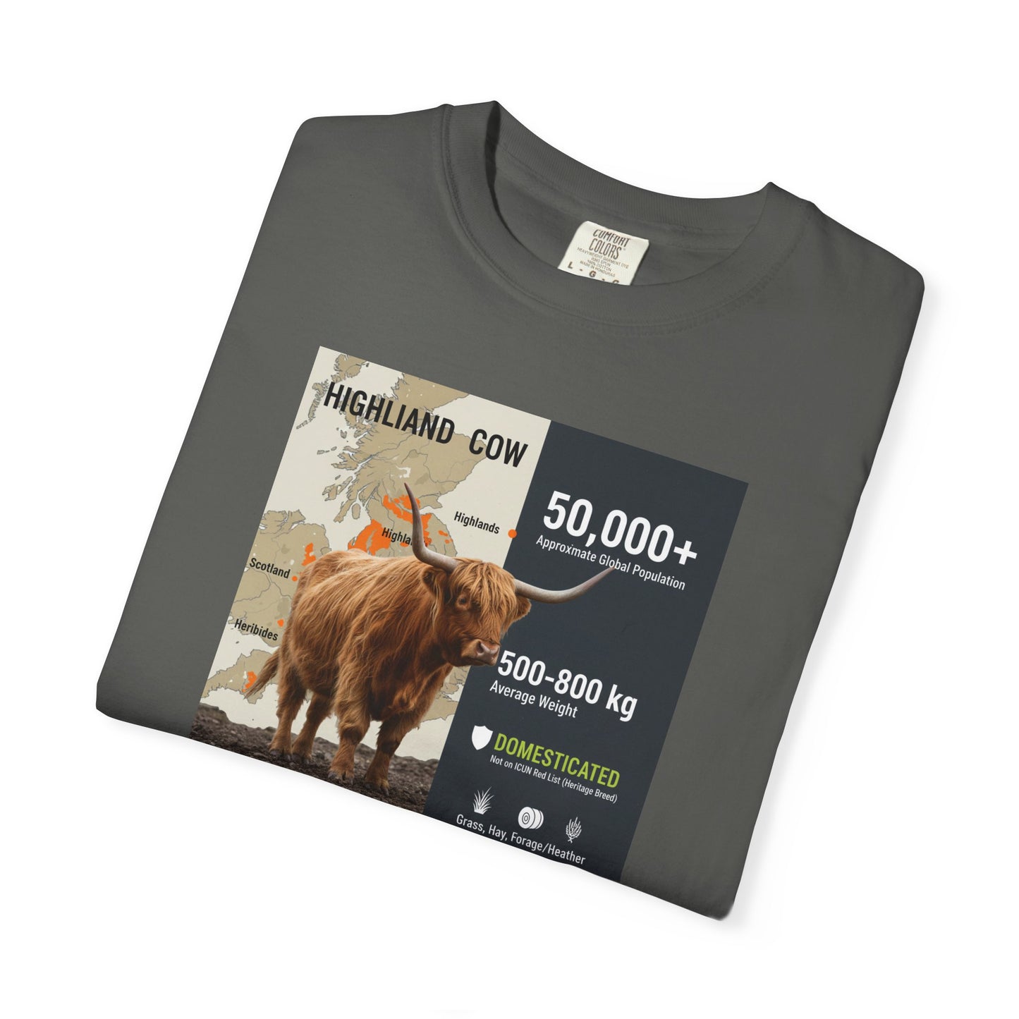 The Moody Coo: Highland Cow Textured T-Shirt (Farmhouse Chic)