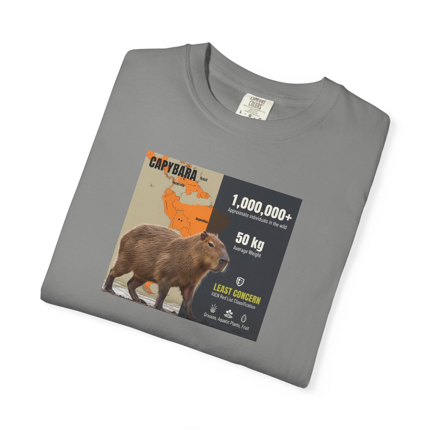 Zen Master: Capybara Chill Spa Day T-Shirt