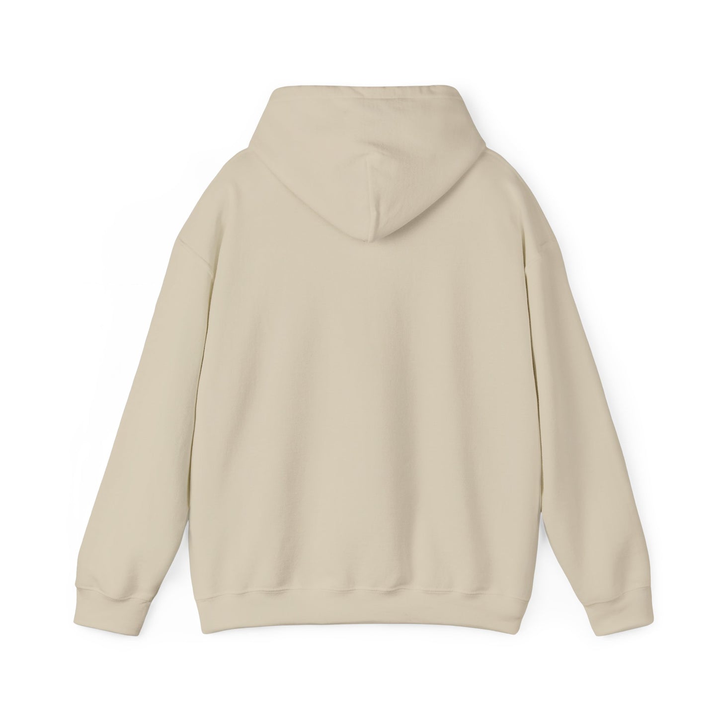 Minimalist Orbit Hoodie — Biblically Accurate Angel Hoodie