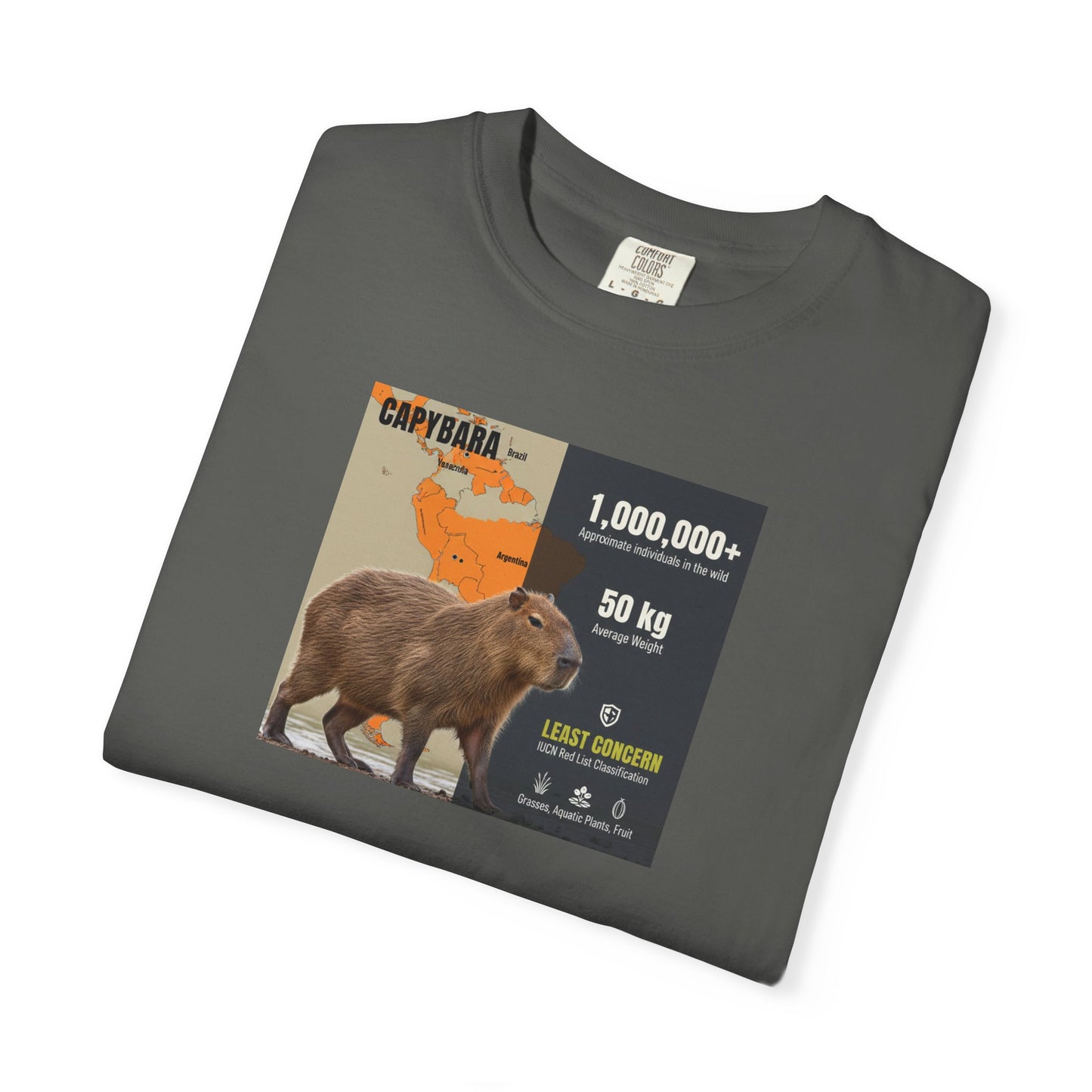 Zen Master: Capybara Chill Spa Day T-Shirt