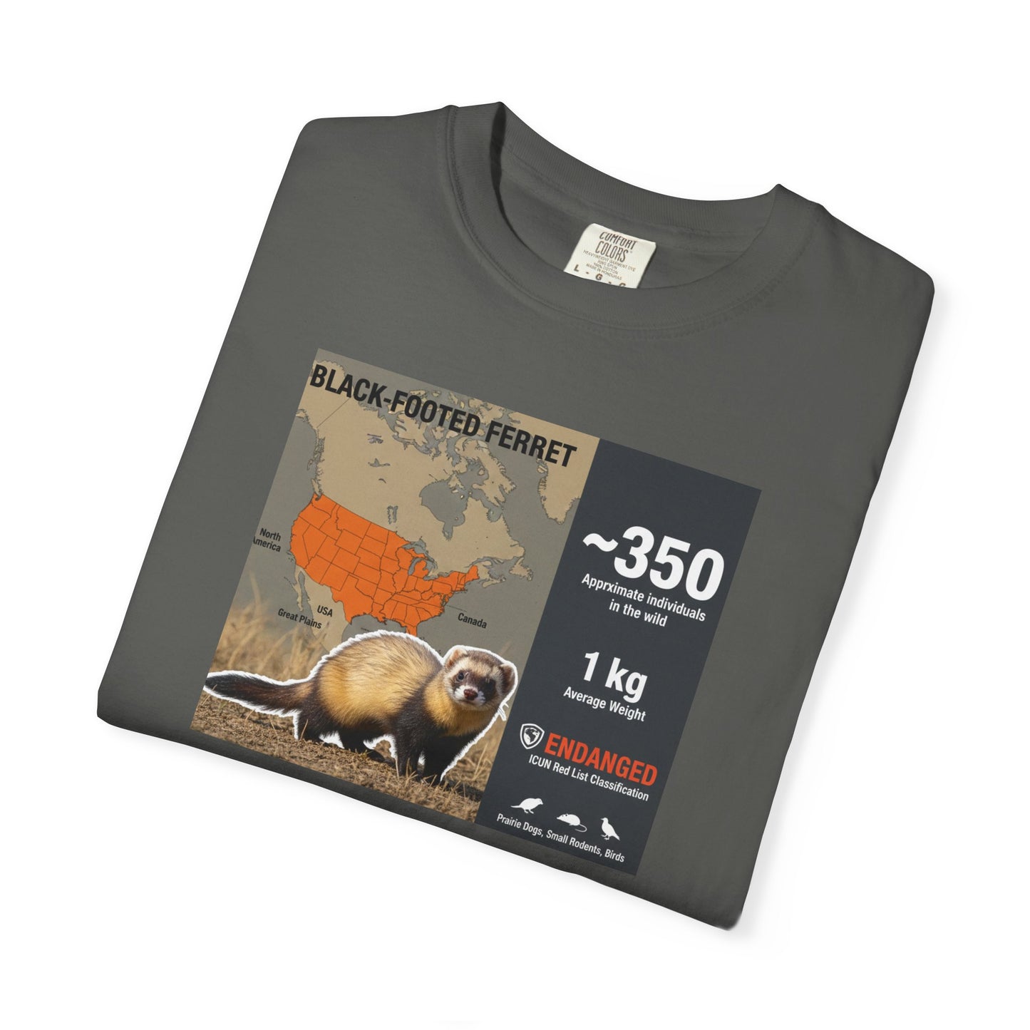 Masked Mystery: Rare Black-Footed Ferret T-Shirt
