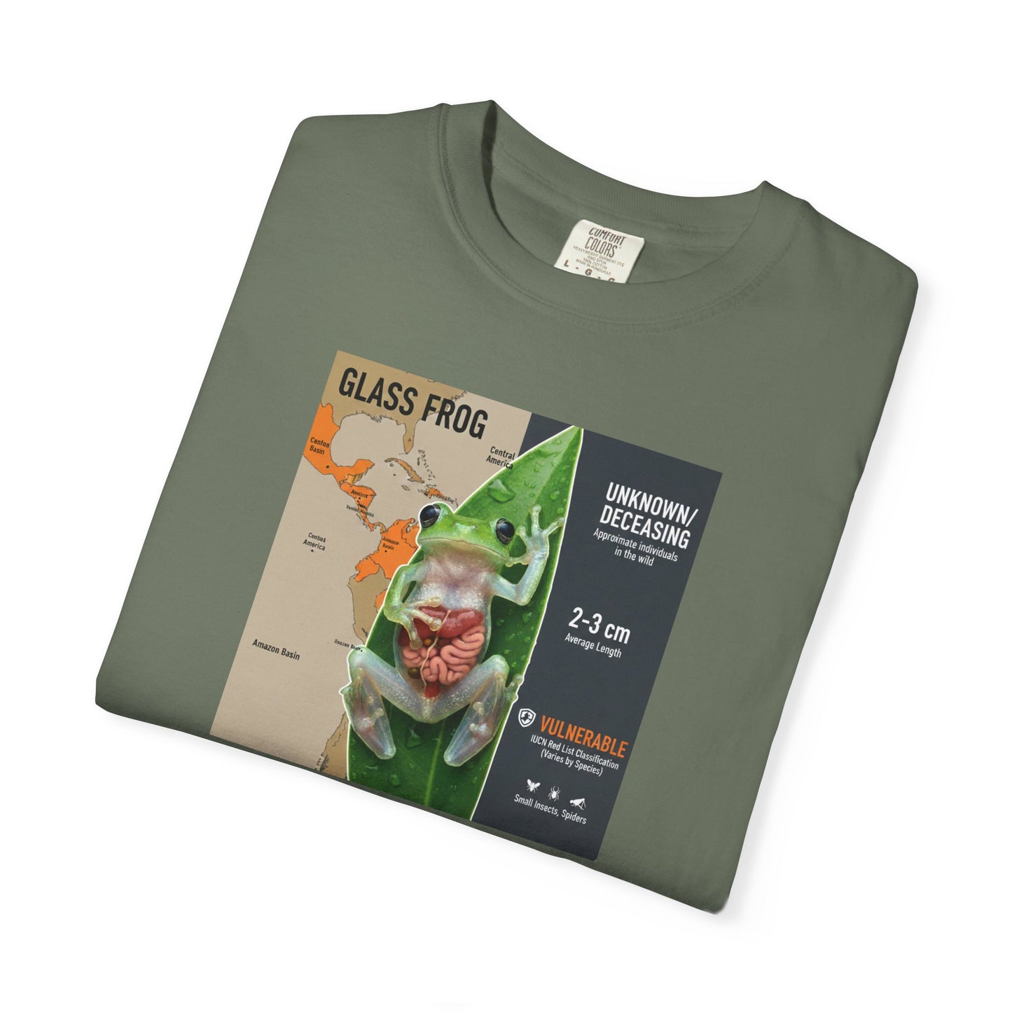 X-Ray Vision: Translucent Glass Frog Anatomy T-Shirt