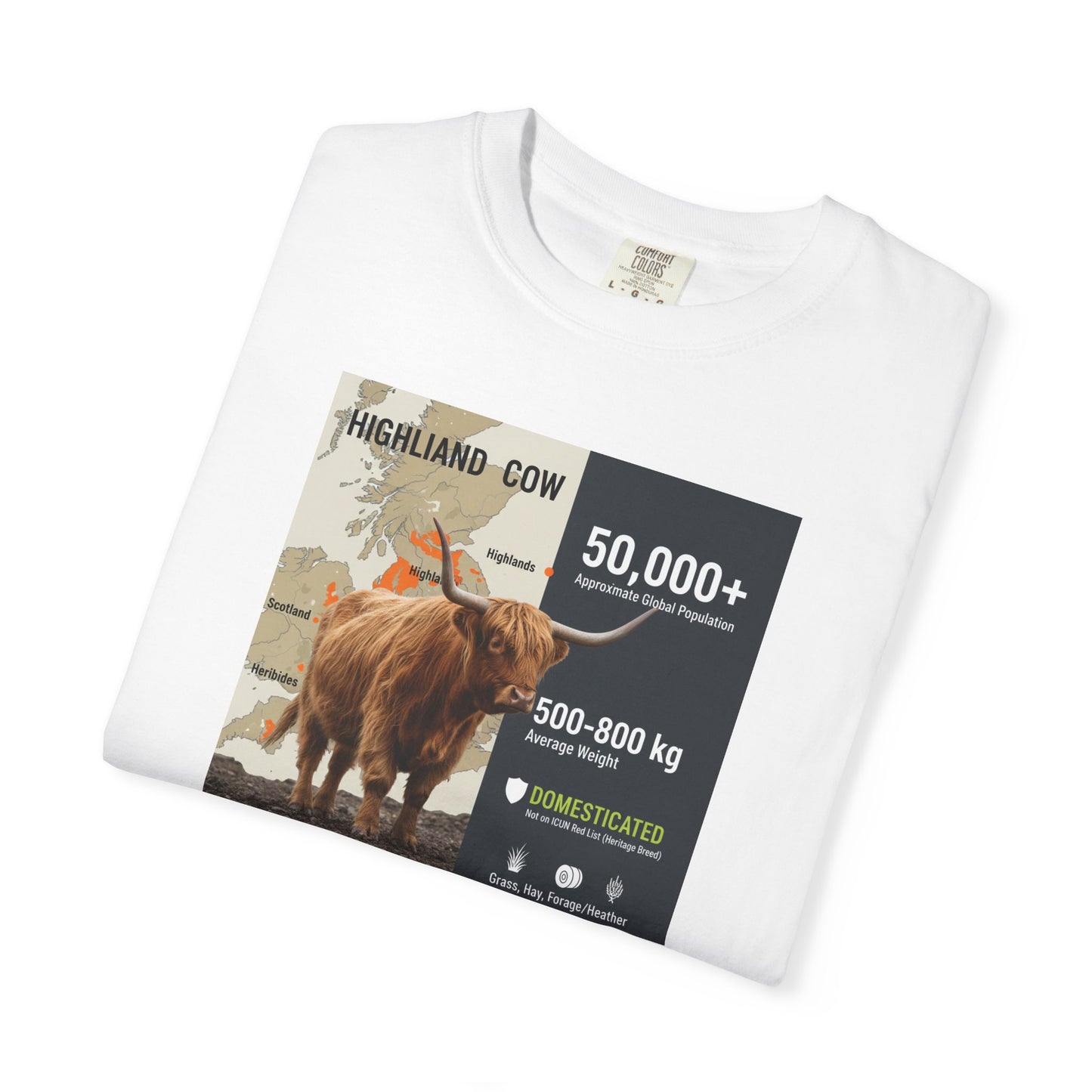 The Moody Coo: Highland Cow Textured T-Shirt (Farmhouse Chic)