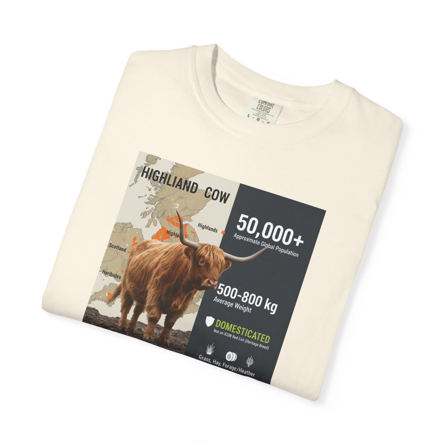 The Moody Coo: Highland Cow Textured T-Shirt (Farmhouse Chic)