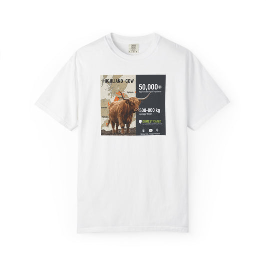 The Moody Coo: Highland Cow Textured T-Shirt (Farmhouse Chic)