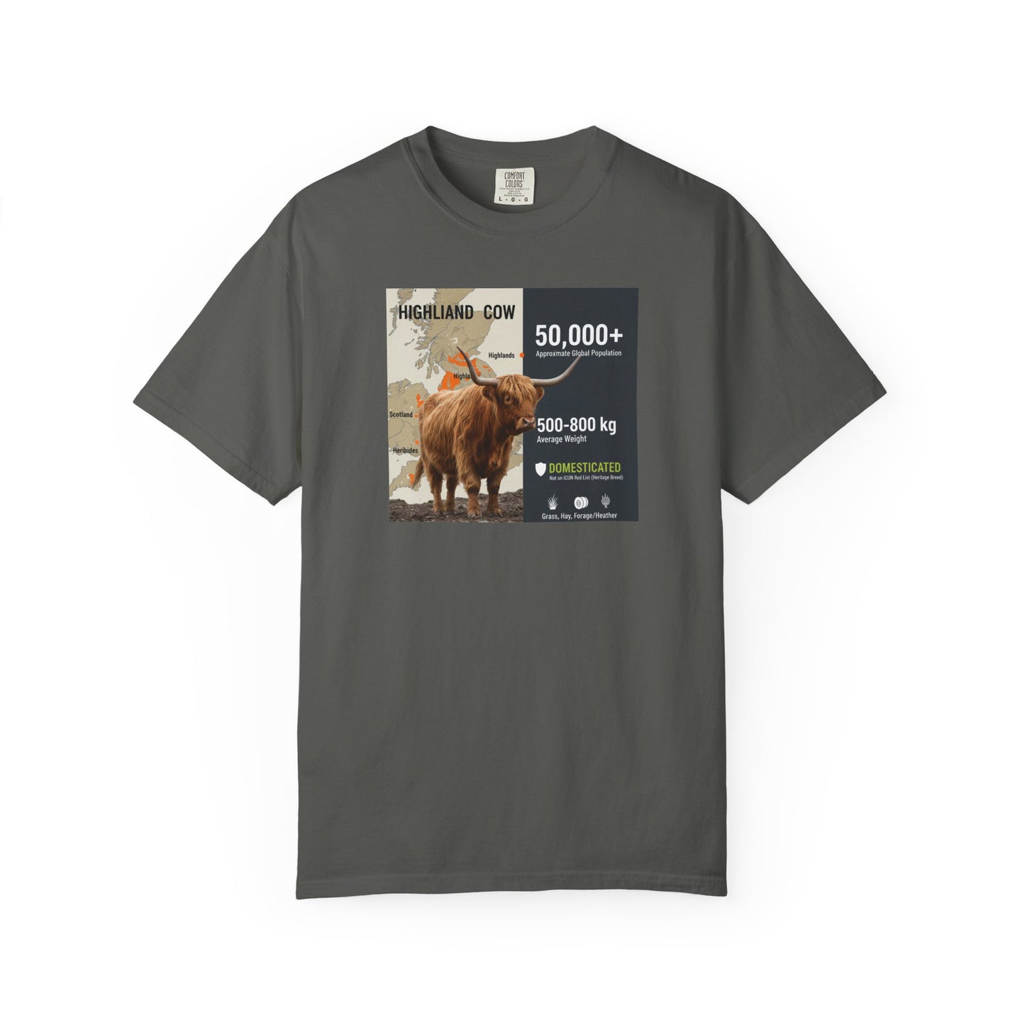 The Moody Coo: Highland Cow Textured T-Shirt (Farmhouse Chic)