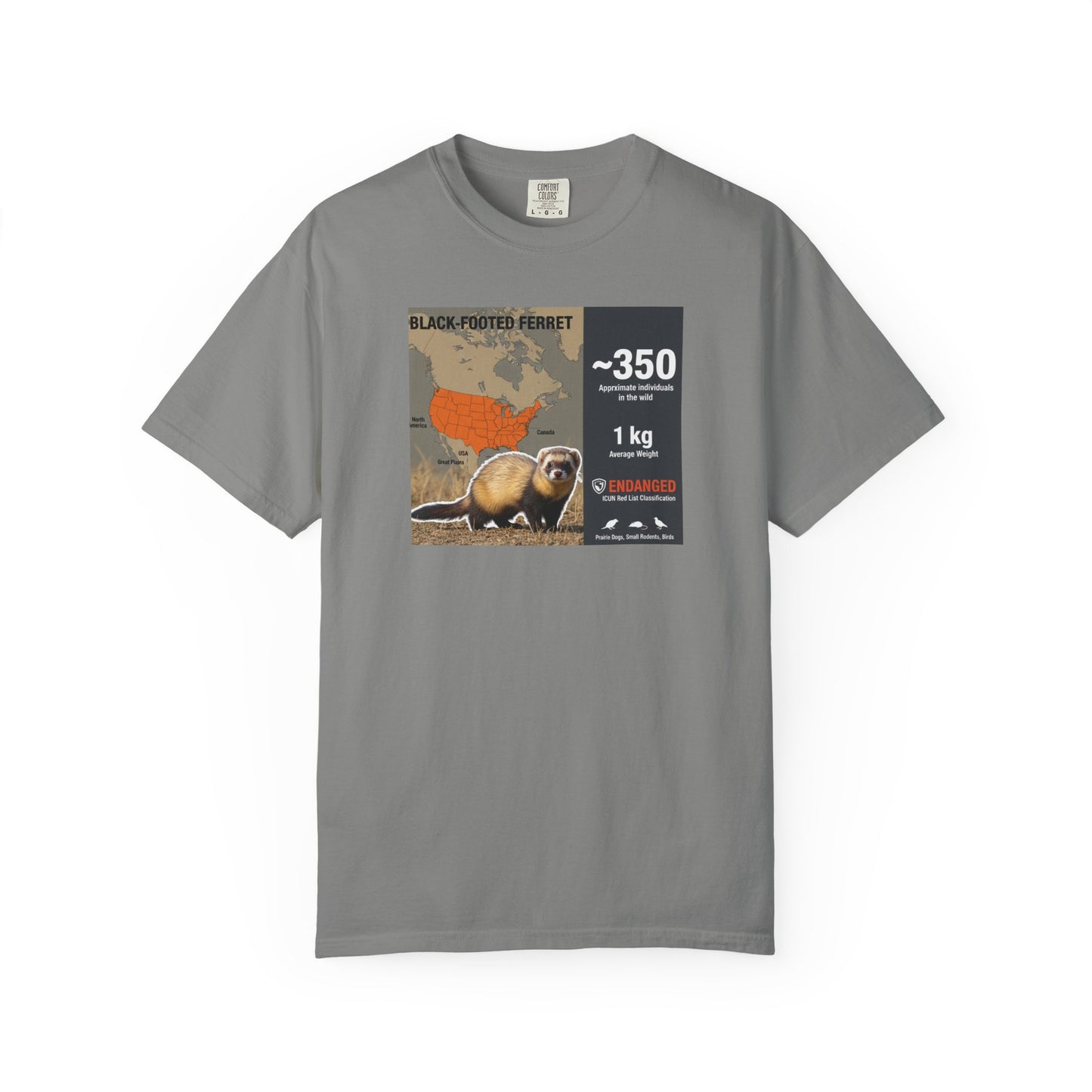 Masked Mystery: Rare Black-Footed Ferret T-Shirt