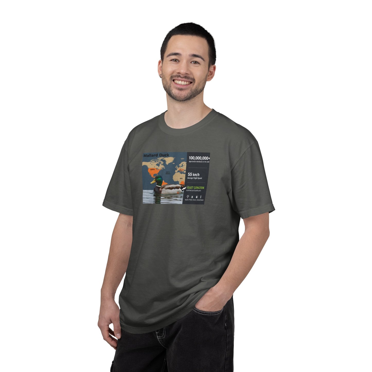 Chaos Coordinator: 'Ducks Not In A Row' Mallard T-Shirt