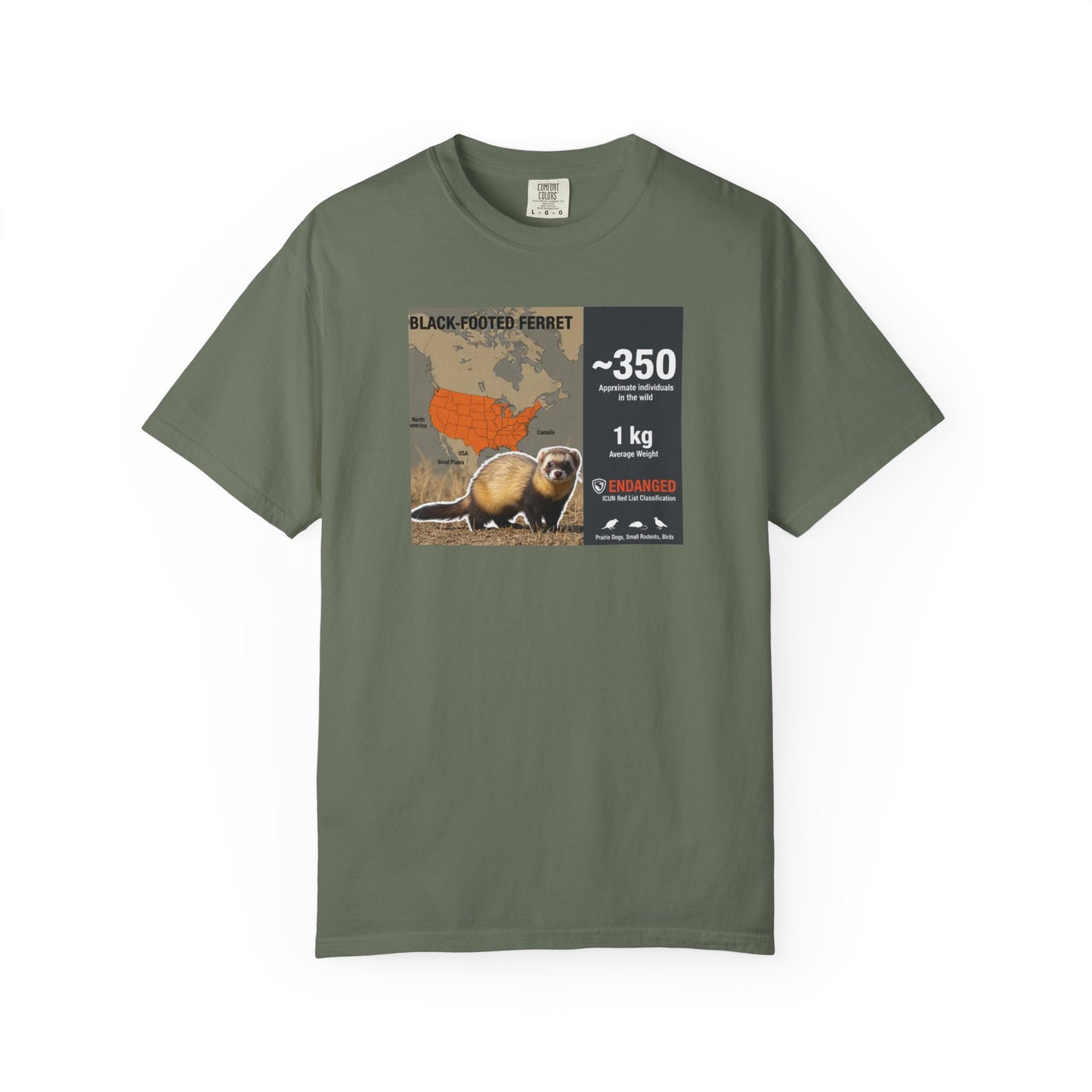 Masked Mystery: Rare Black-Footed Ferret T-Shirt