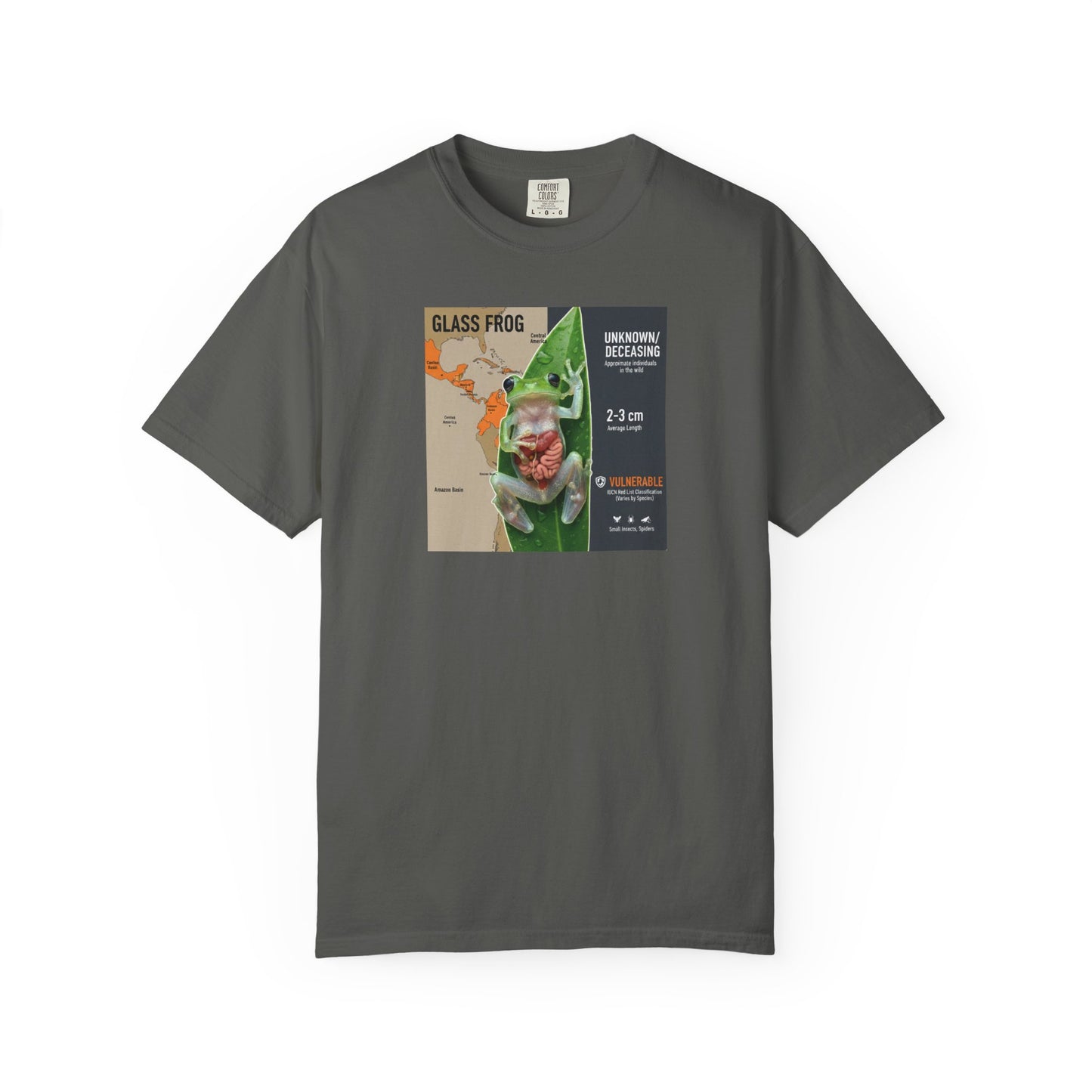 X-Ray Vision: Translucent Glass Frog Anatomy T-Shirt