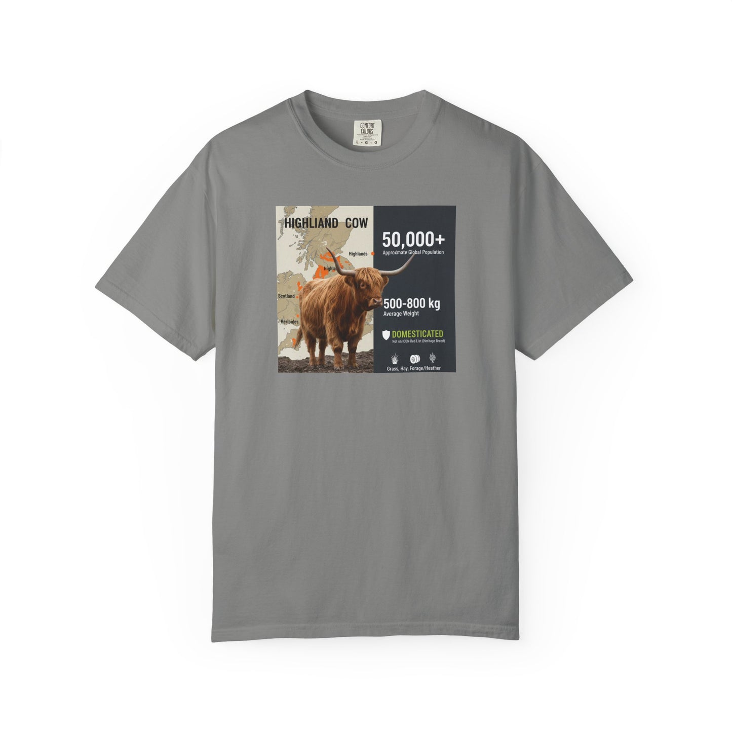 The Moody Coo: Highland Cow Textured T-Shirt (Farmhouse Chic)